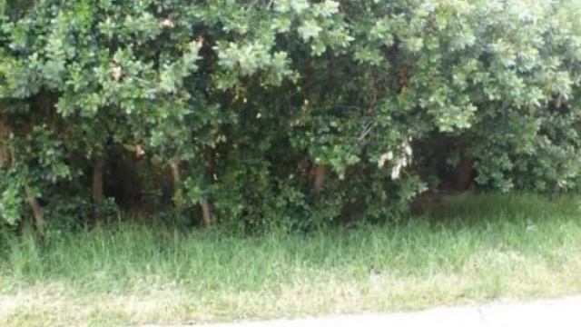 Vacant Land For Sale in Vermont, Hermanus, South Africa for ZAR R 1 030 000 смотреть онлайн