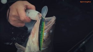 Глубоководный твичинг. Часть 3