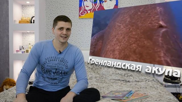 Гренландская акула. Сколько живет? смотреть онлайн