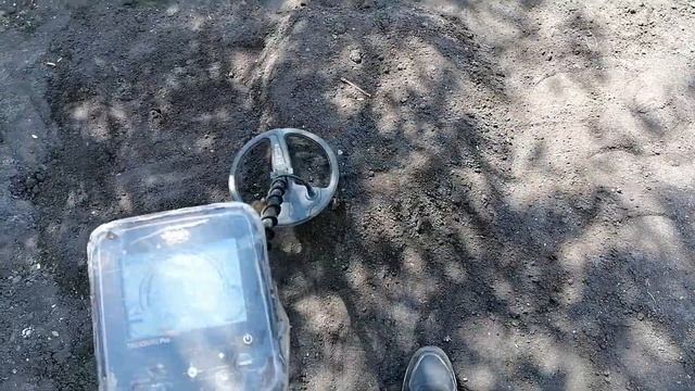 Почему мы пропускаем крупные находки. ACE250 и Whites Treasure Pro