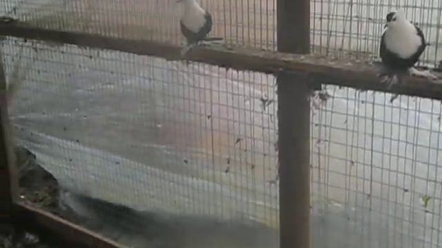 MVI 5767 смотреть онлайн