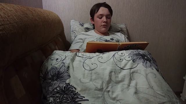 #СказкаНаНочьсМТС – «Приключения Нильса с дикими гусями» (ч.2) – читает Вадим – #ОстаньсяДомасГДКНТ смотреть онлайн