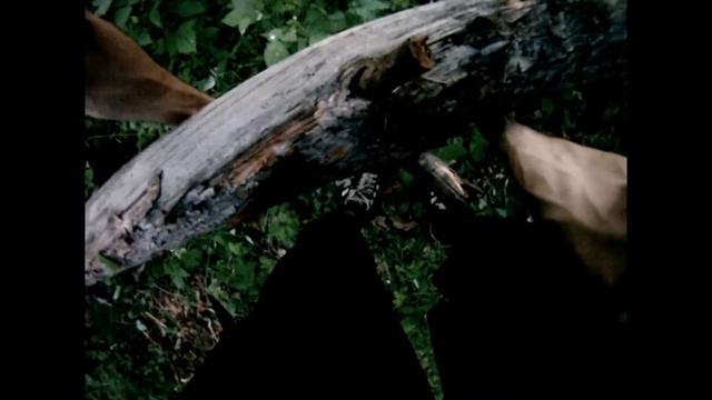 Древесина смотреть онлайн