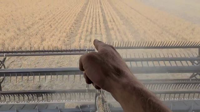 Ideal 10 In The Field