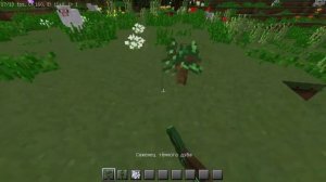 КАК ВЫРАСТИТЬ ТЁМНЫЙ ДУБ В МАЙНКРАФТЕ!