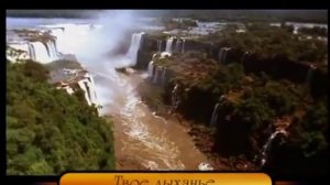 +Ты свет душе моей