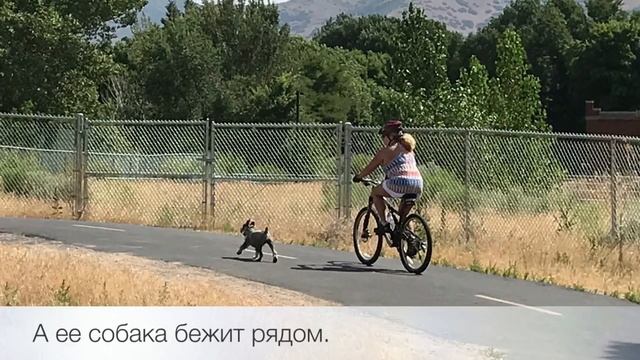 Intermediate Russian. Listen & Respond: В парке