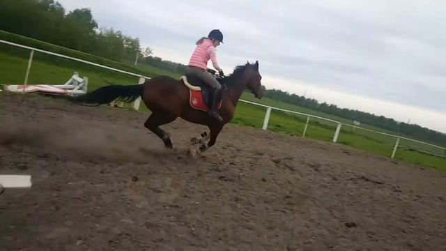 Конный клуб Ульяновск смотреть онлайн