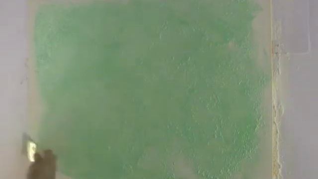 Coraline Roche. Архив