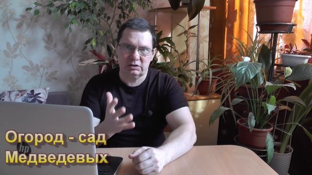 Волдыри на листьях рассады что это и как лечить смотреть онлайн