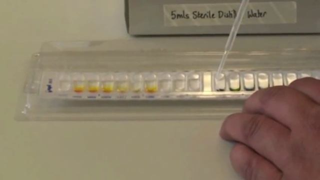 Microbiology: Using API Strips 1 смотреть онлайн