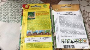 Комнатные огурцы «Окошко F1» и «Балконный хрустик F1» на 1 марта 2024 года.