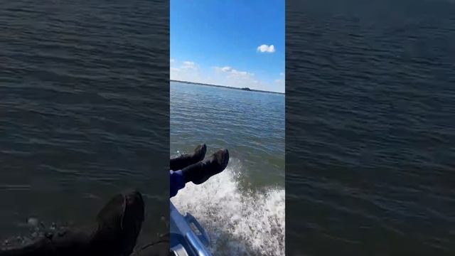 ОВХ, Гладиатор е380 нднд , сузуки 9.9. КАЙФ, А НЕ РЫБАЛКА!!! смотреть онлайн