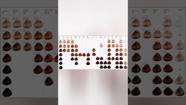 СтройЗаказчик