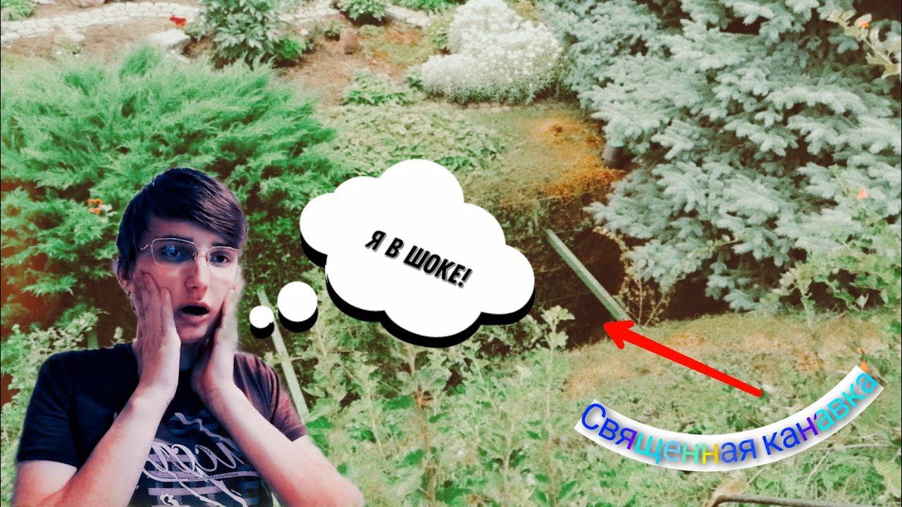 Я В ДИВЕЕВО // ВЛОГ смотреть онлайн