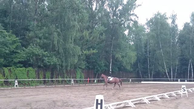 Вера Колерова и Хэд 25.06.15 смотреть онлайн
