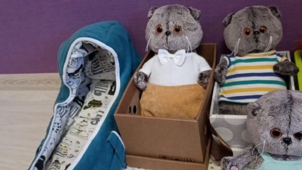 Обзор одежды басиков⭐??