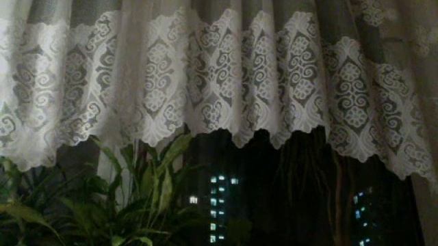 Видео с веб-камеры. Дата: 29 марта 2013 г., 3:15.