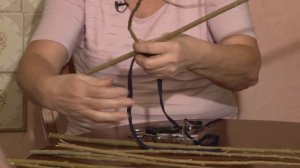 Голова садовая - Выращиваем яблоню из черенка