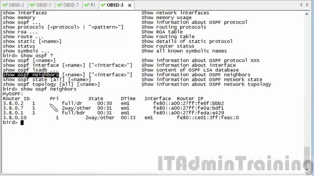 4 OSPF Смежность роутеров Router adjacency смотреть онлайн