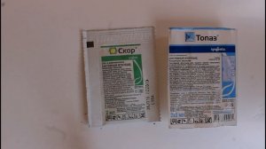 Фунгицид Скор.