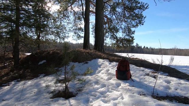 Часть 2. Прогулка по лесу в районе деревни Лучеса. смотреть онлайн