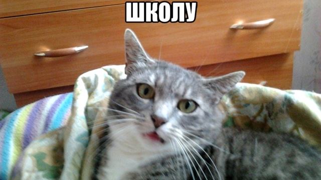 Как выучить стих за 5 минут смотреть онлайн