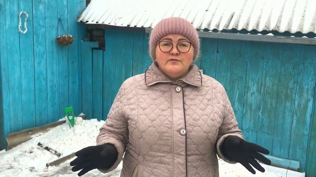 Укрытие роз на зиму снегом: подготовка к зимовке в условиях Сибири смотреть онлайн