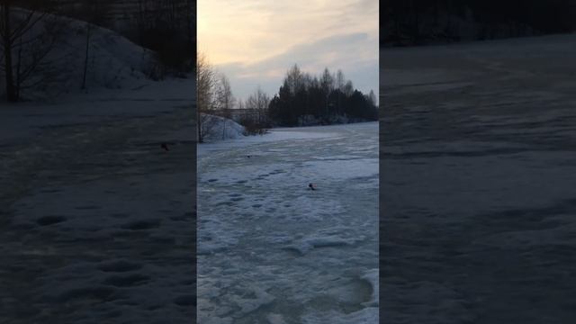 Рыбалка Муром- Озеро23 Марта 2023…#shorts смотреть онлайн