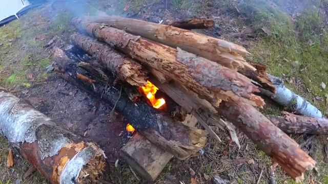 Почему я толстый?! Ленинградская область река "Грузинка", озеро Круглое. смотреть онлайн