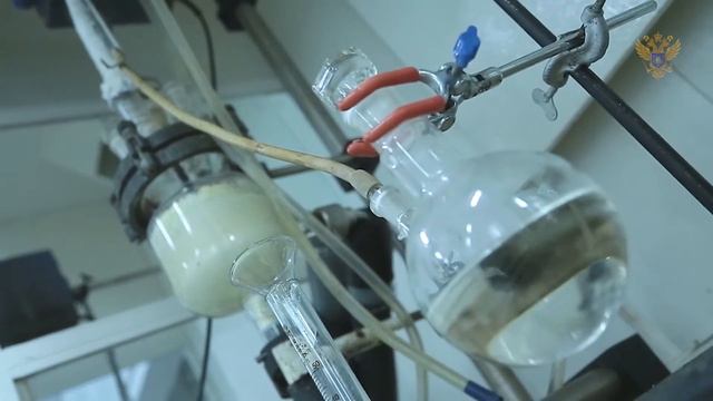 #НаукаБудущего. Жанна Курданова смотреть онлайн