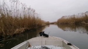 Вельбот 330.Несколько минут экстрима.