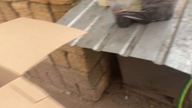 НОВИНКИ‼️Саженцы🍓клубники новых сортов купить Новой почтой по Украине смотреть онлайн