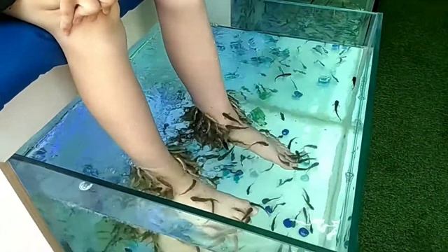 Кабардинка / Fish Spa/ Пилинг рыбками ГАРРА РУФА смотреть онлайн