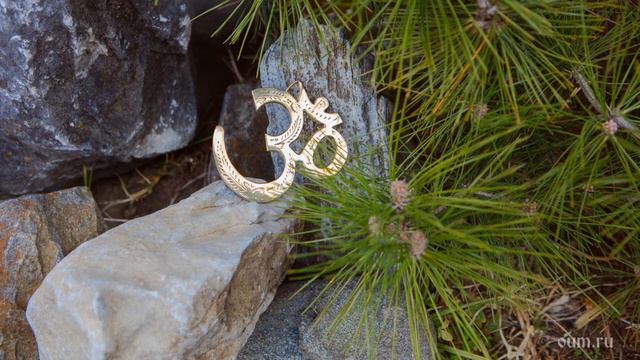 Джатака об отрёкшемся от учителя смотреть онлайн