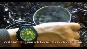 ?СЪЕДОБНЫЕ РАСТЕНИЯ ЛАВРОВИШНЯ?