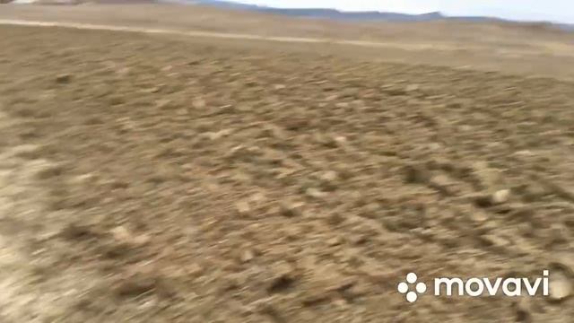 Подготовка поля под посев Люцерны смотреть онлайн