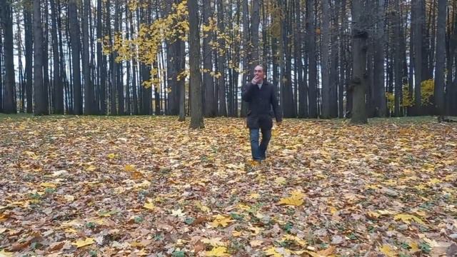Осенняя ( авторская песня ) смотреть онлайн