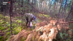 #2 БЕШЕНСТВО ГРИБОВ / ГРИБОКОС-ГРИБАЛКА / 100 литров БЕЛЫХ!!!