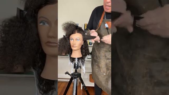 Balayage Color Tutorial for Curly hair | Balayage Tips & Techniques смотреть онлайн