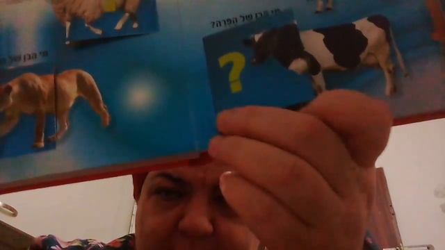 Урок иврита с Броней. ЖИВОТНЫЕ. ИХ названия дома и детеныши. смотреть онлайн