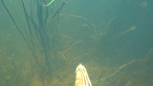 Головач (июль 2019) смотреть онлайн