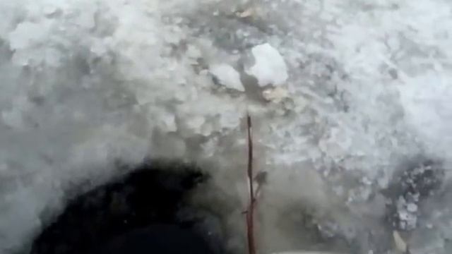 Хороший клев в Лопотово смотреть онлайн