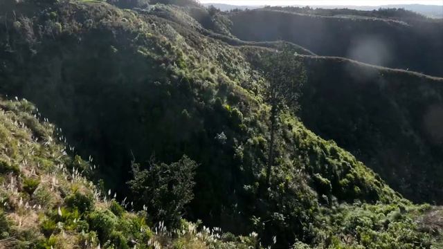 Discover The Highlands, an exclusive lifestyle retreat nestled high above Langs Beach and Waipu Cov смотреть онлайн