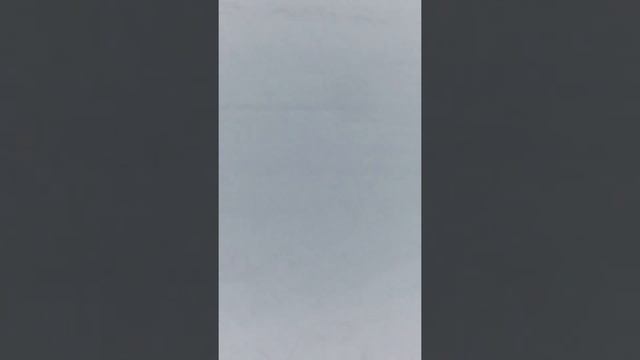 Мотособака.Заклинил газ. Эпическое видео.