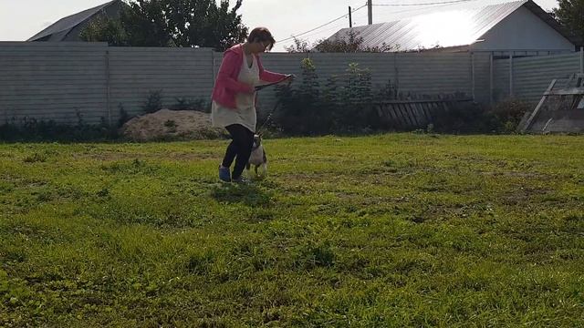 Секреты Профессионального Развития