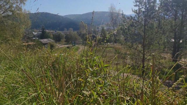 Куда она уходит каждое утро курица несушка путешествует смотреть онлайн