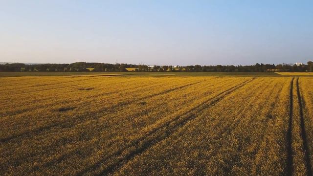 Die Energie Im Körper Spüren (Meditation) - Eckhart Tolle Deutsch