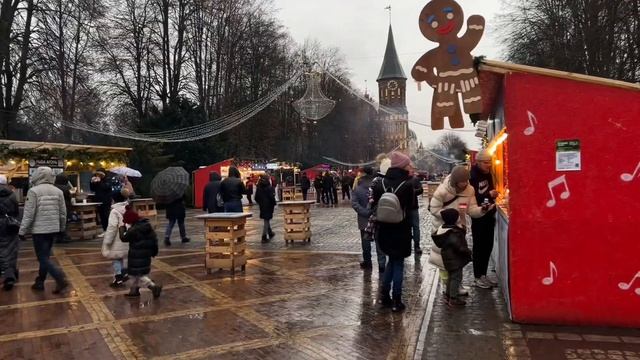 Лисы на Куршской косе и Калининград. Часть 3. смотреть онлайн