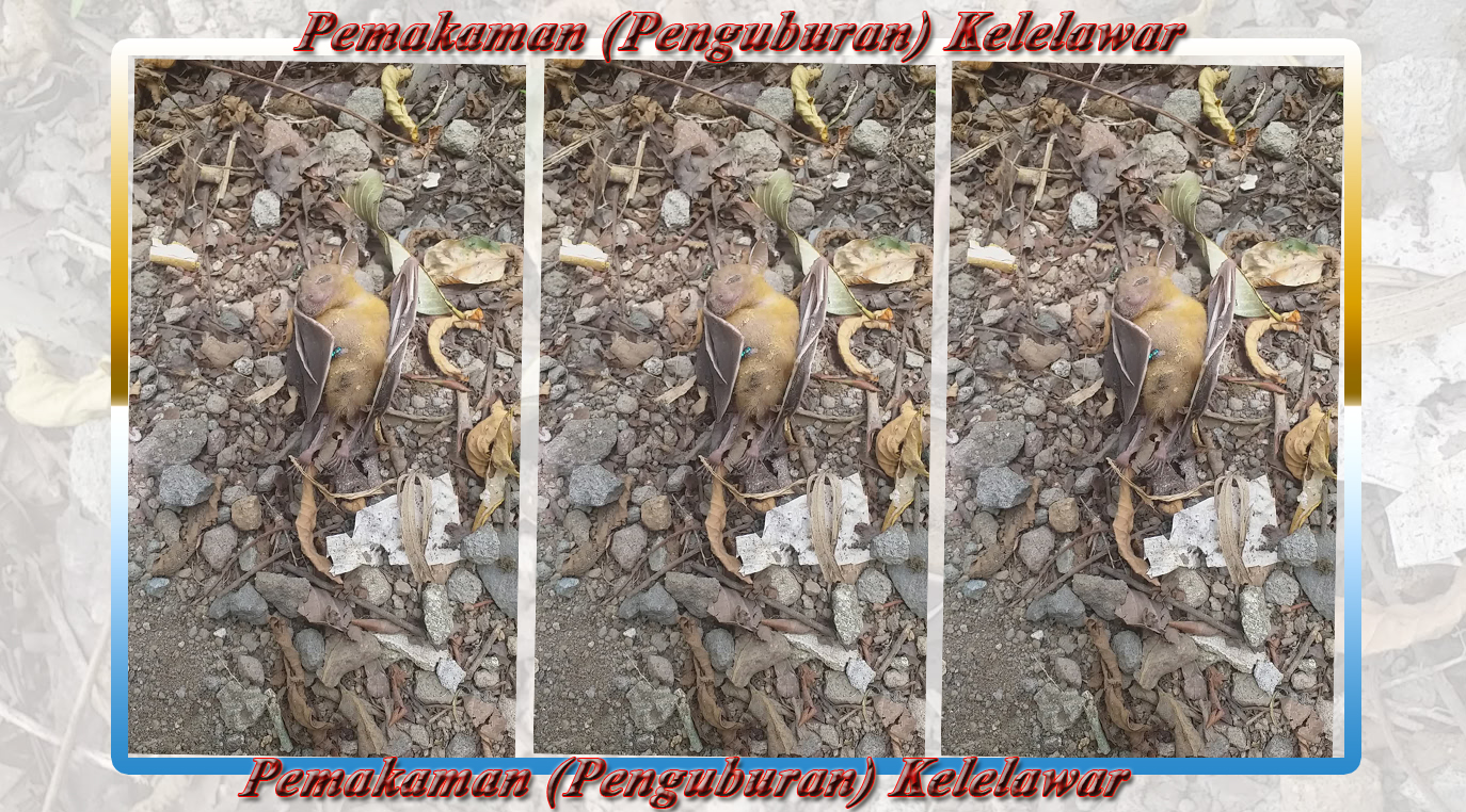 Pemakaman (Penguburan) Kelelawar смотреть онлайн